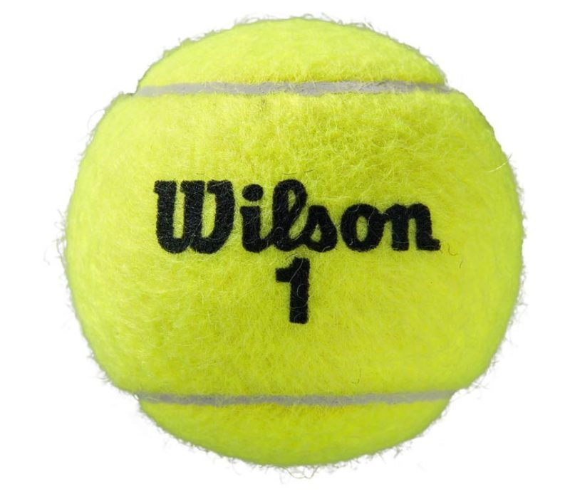 Pelotas de tenis WILSON Roland Garros
